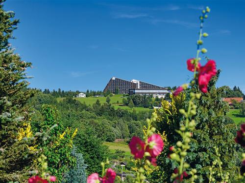 Semesterlägenhet - 4 personer -  - 08261 - Schöneck