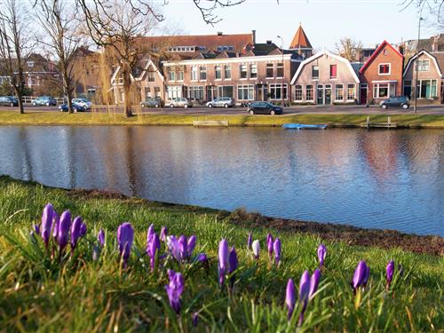 Feriehus / leilighet - 5 personer -  - 1815GA - Alkmaar