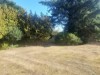 Billede 18