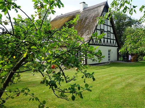 Semesterhus/Semesterlägenhet - 2 personer -  - Schwarbe Siedlung - 18556 - Altenkirchen