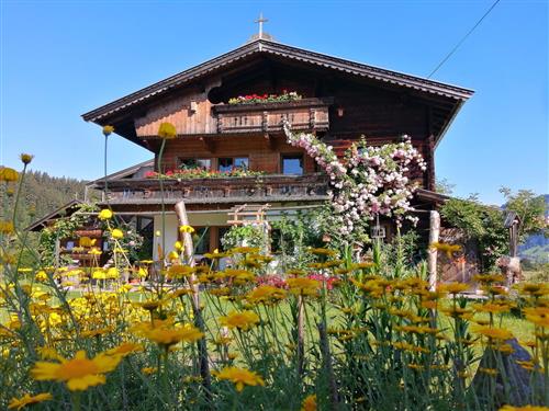 Bondegård - 6 personer -  - Bernau - 6313 - Wildschönau - Auffach