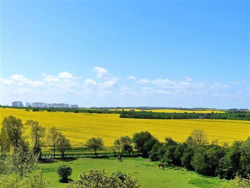 Ferielejlighed - 4 personer -  - Ostseeferienpark - 23774 - Heiligenhafen