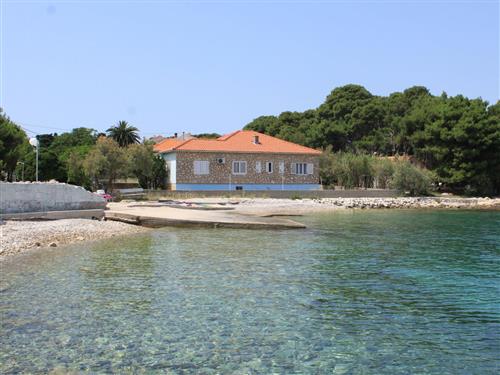 Ferielejlighed - 5 personer -  - Veljka Maštruka - 23275 - Ugljan