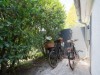 Billede 55