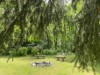 Bild 11