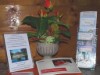 Bild 16 - Ude