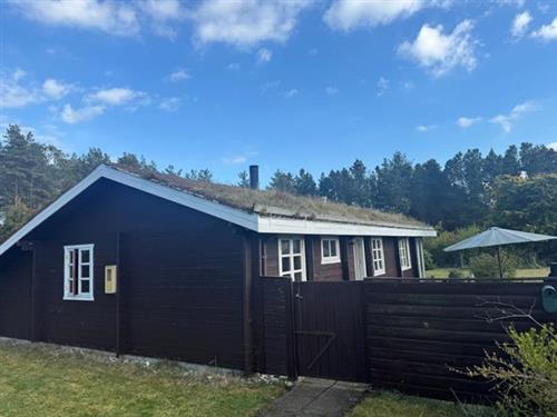 Sommerhus - 5 personer -  - Grævlingevej - Tranum / Krogen / Tranum Klit - 9460 - Brovst
