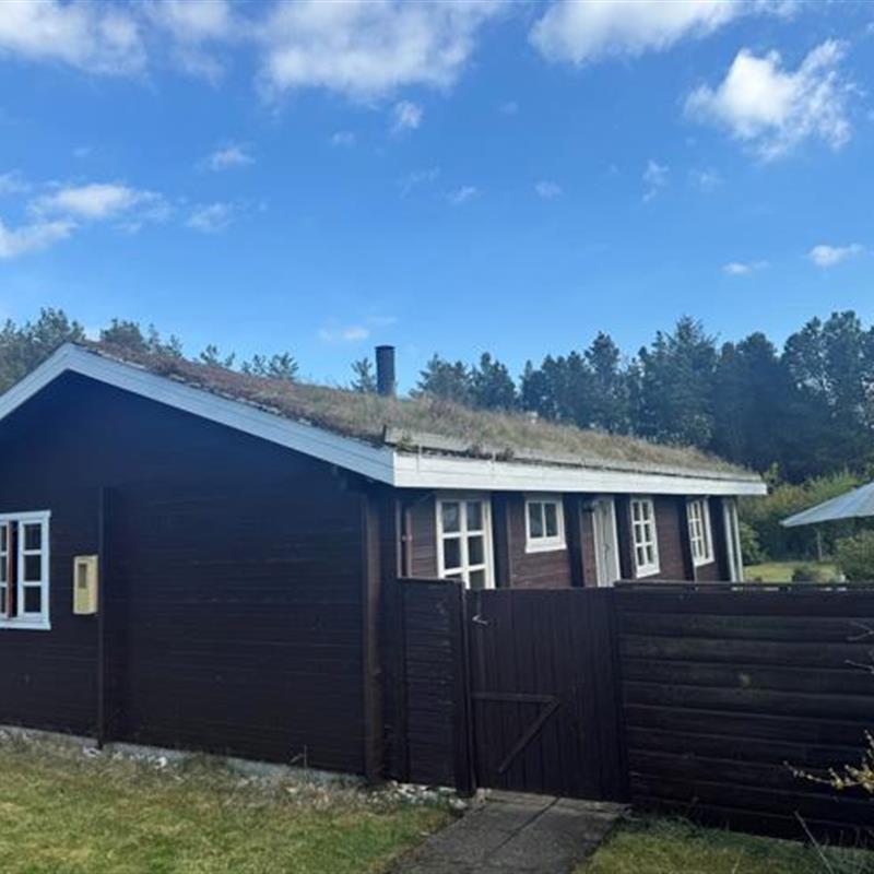 Ferienhaus - 5 Personen -  - Grævlingevej - Tranum / Krogen / Tranum Klit - 9460 - Brovst