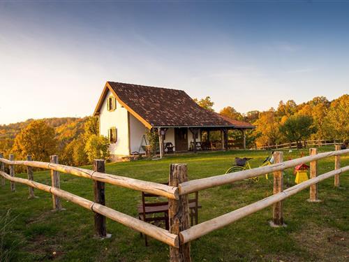 Holiday home - 4 persons -  - kuca za odmor atar - 35252 - Bartolovci