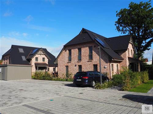 Ferieleilighet - 4 personer -  - Zur Heiderose - 18374 - Seeheilbad Zingst