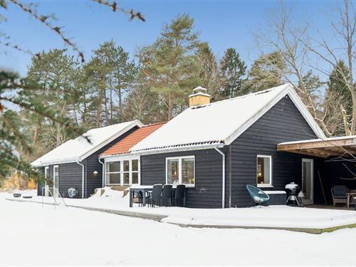 Ferienhaus - 6 Personen -  - Mostergårdsvej - Asserbo Plantage - 3300 - Frederiksvärk