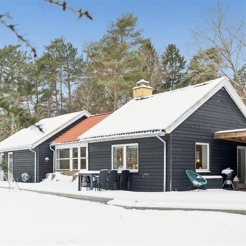 Ferienhaus - 6 Personen -  - Mostergårdsvej - Asserbo Plantage - 3300 - Frederiksvärk