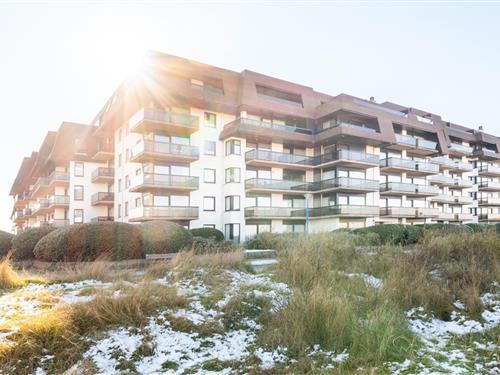 Ferielejlighed - 6 personer -  - 8670 - Oostduinkerke