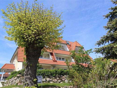 Ferielejlighed - 6 personer -  - Dorfstr. - 18556 - Breege