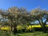 Billede 21 - Grund