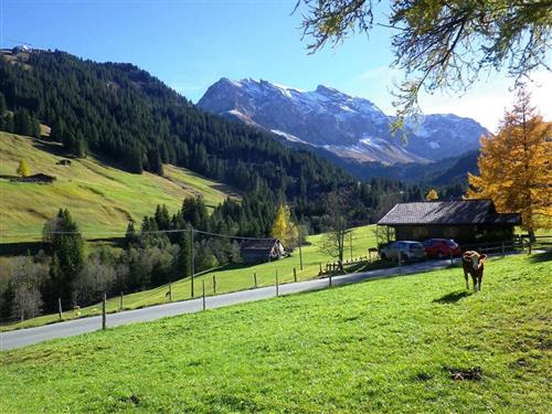 Semesterlägenhet - 7 personer -  - Hahnenmoosstrasse - 3715 - Adelboden