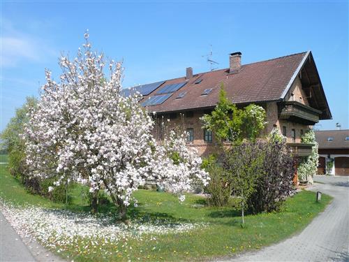 Ferieleilighet - 4 personer -  - Obermoosen Nr. - 83083 - Riedering