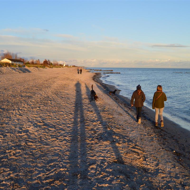 Ferielejlighed - 4 personer -  - Wiesenredder - 23743 - Grömitz