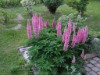 Image 26 - Outside