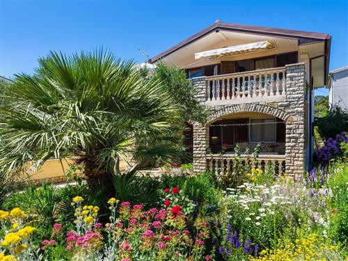 Ferielejlighed - 4 personer -  - Put Mrviska - 23212 - Tkon