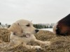 Bild 22