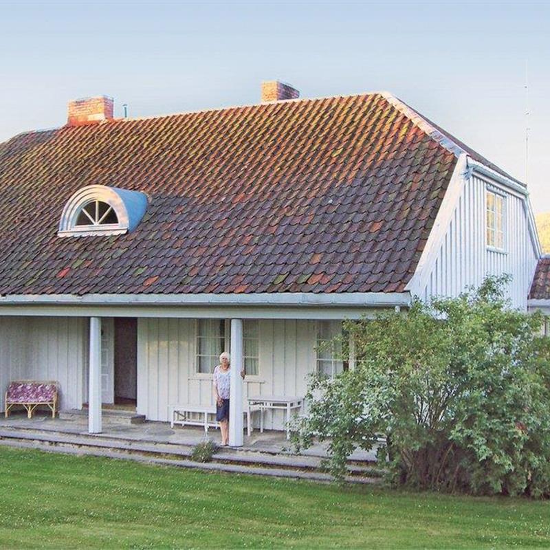 Sommerhus - 8 personer -  - Vestsidevegen - Randsfjorden/Ringelia - 2863 - Vestsida