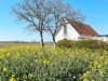 Bild 5 - Aussen