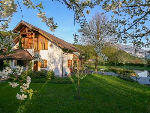 Fritidshus - 10 personer -  - Wiesen - 4822 - Bad Goisern Am Hallstätte