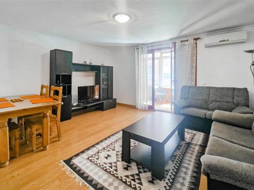 Ferielejlighed - 4 personer -  - Travesía San Miguel de Salinas - Torrevieja, Alicante - 03185 - Torrevieja