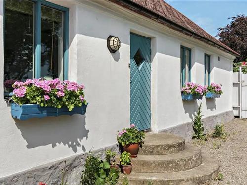Ferienhaus - 8 Personen -  - Benestad - Ystad - 273 91 - Tomelilla