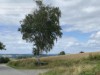 Bild 73