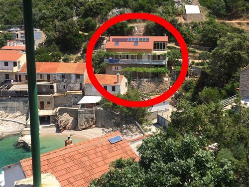 Holiday apartment - 6 persons -  - Gdinj 242, Uvala Pobij - 21467 - Gdinj-Virak