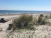Bild 17