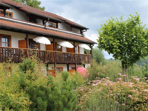 Ferienwohnung - 1 Person -  - Obernzell - 94130