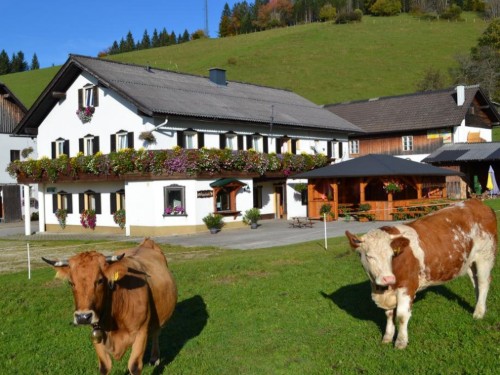 Bondegård - 4 personer -  - Maiszinken - 3293 - Lunz Am See
