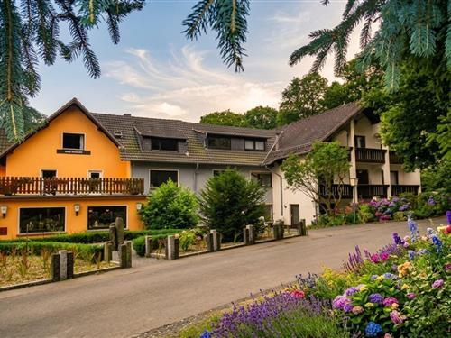 Holiday apartment - 2 persons -  - 56593 - Obersteinebach