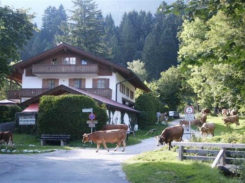 Feriehus - 8 personer -  - 82467 - Garmisch-Partenkirchen