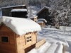 Image 4 - Outside
