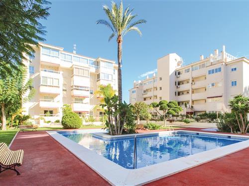 Sommerhus - 5 personer -  - Pau Casals 18, Blq - El Albir - 03581 - Alfaz Del Pí