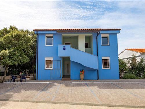 Holiday apartment - 5 persons -  - 23251 - Mandre