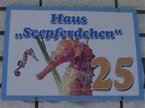 Sommerhus - 5 personer -  - An den Rehwiesen - 17449 - Karlshagen