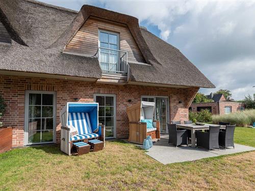 Feriehus - 6 personer -  - Feldgasse - 25996 - Wenningstedt-Braderup (Sy