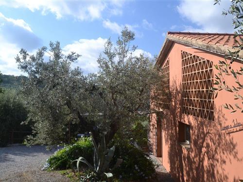 Holiday Home/Apartment - 4 persons -  - 57022 - Castagneto Carducci