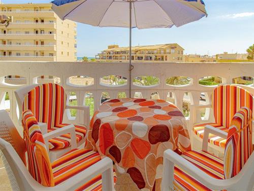 Ferielejlighed - 3 personer -  - Avda. Los Europeos - Torrevieja/La Mata - 03188 - Torrevieja