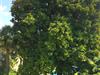 Bild 36 - Aussen