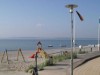 Bild 42