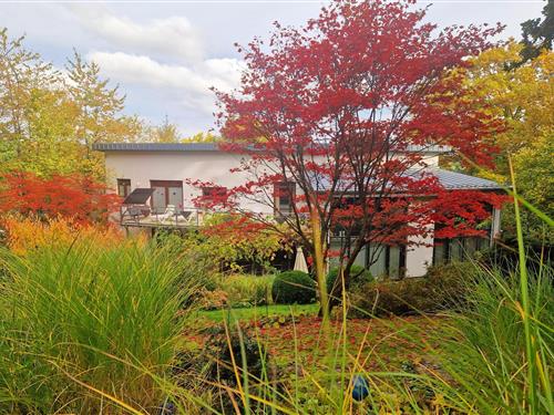 Fritidshus - 10 personer -  - Hermann-Löns-Weg - 35066 - Frankenberg (Eder)