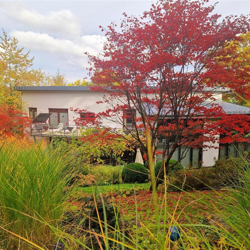 Sommerhus - 10 personer -  - Hermann-Löns-Weg - 35066 - Frankenberg (Eder)