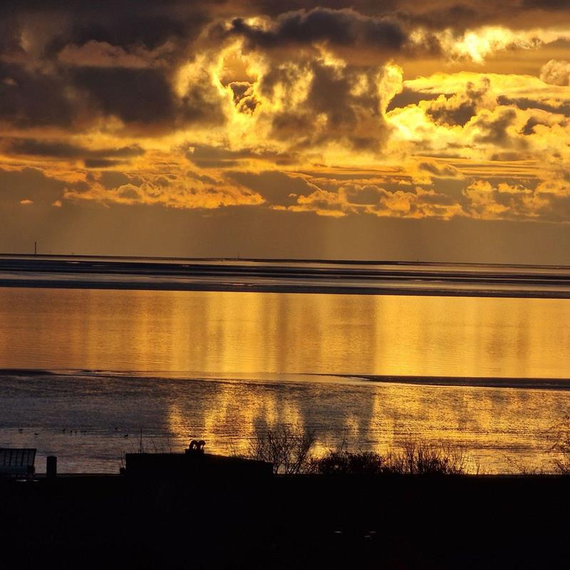 Ferielejlighed - 2 personer -  - Nordseestraße - 25761 - Büsum