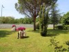 Image 9 - Outside